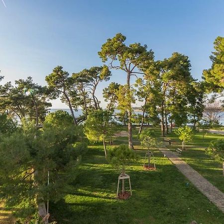 Apartment Hannah Novigrad  Zewnętrze zdjęcie