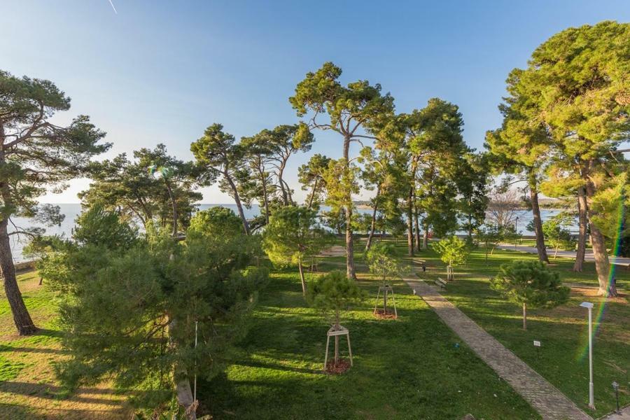 Apartment Hannah Novigrad  Zewnętrze zdjęcie
