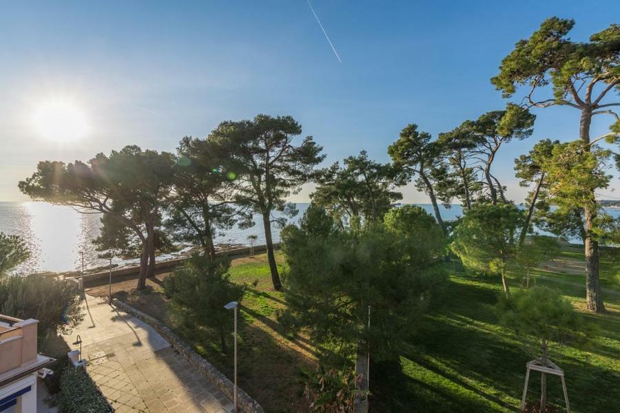 Apartment Hannah Novigrad  Zewnętrze zdjęcie