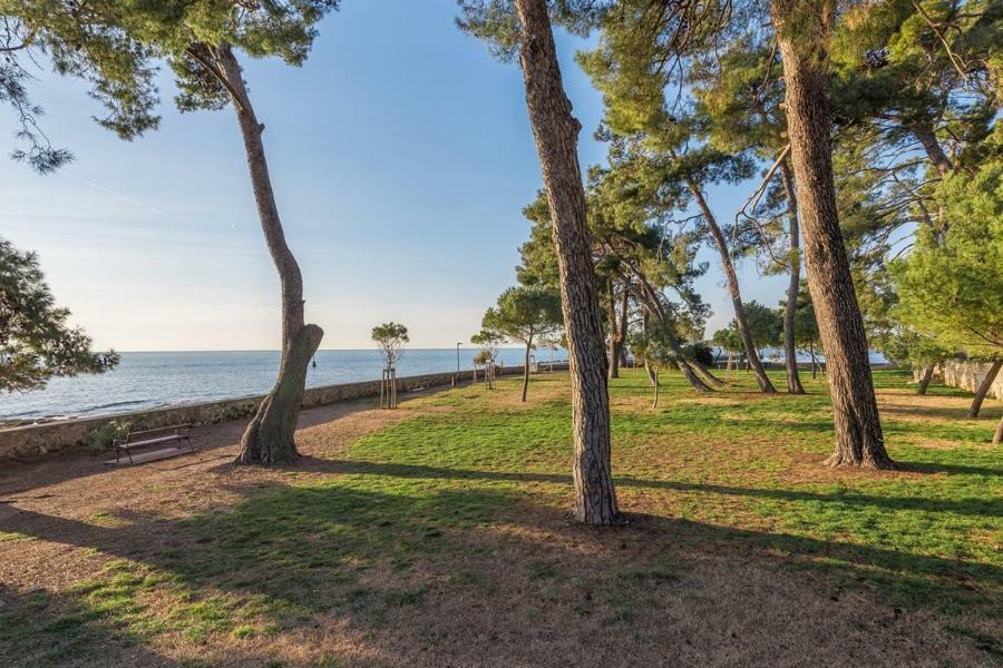 Apartment Hannah Novigrad  Zewnętrze zdjęcie